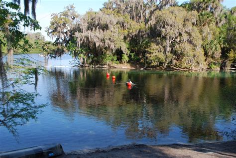 Blue Springs State Park :: Florida : manatee : swimming : camping ...