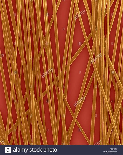 Keratin Micrograph High Resolution Stock Photography and Images - Alamy