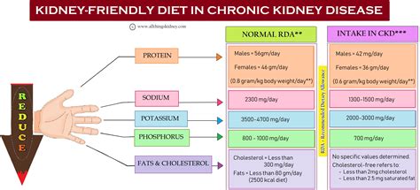 Stage 5 Kidney Failure Diet Recommendations