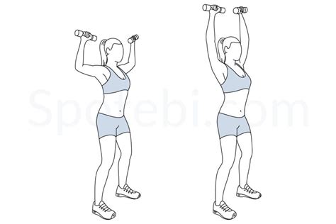 Dumbbell Shoulder Press | Illustrated Exercise Guide