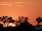 Sunrise Over Maasai Mara National Photograph by John Shaw - Fine Art ...