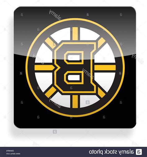 Boston Bruins Logo Vector at Vectorified.com | Collection of Boston ...