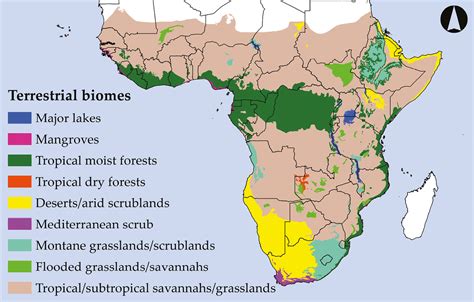 2. Introduction to Sub-Saharan Africa