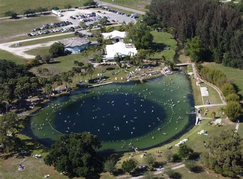 Warm Mineral Springs almost re-opened, then the 'gator showed up | News | yoursun.com