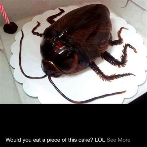 Biggest Cockroach Ever Found In A Birthday Cake (See Photo) ~ Nigeria ...