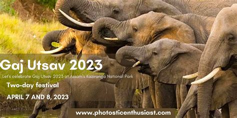 Kaziranga National Park to Host Gaj Utsav 2023 | by Photosticenthusiast ...