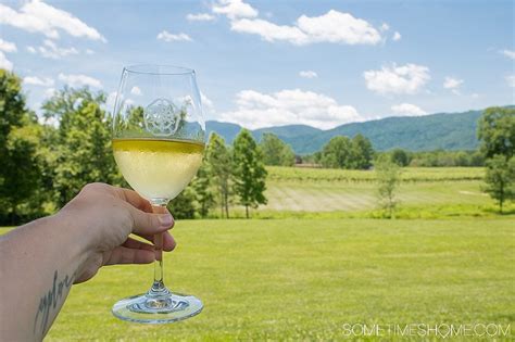 Best Wineries to Visit in Virginia's Charlottesvile Area