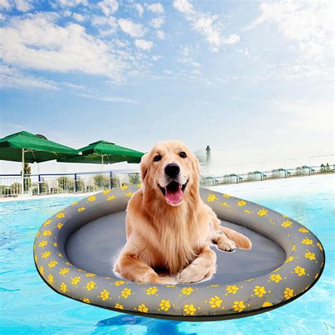 Top 7 Best Dog Pool Toys – DiscoverMyStore