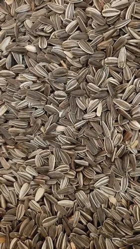 Striped Sunflower Seeds at Rs 70/kg | Sunflower Seeds in Chennai | ID: 21942349912