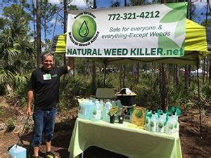 Keep Your Lawn Pristine with the Best Patio Weed Killer | OutsideModern