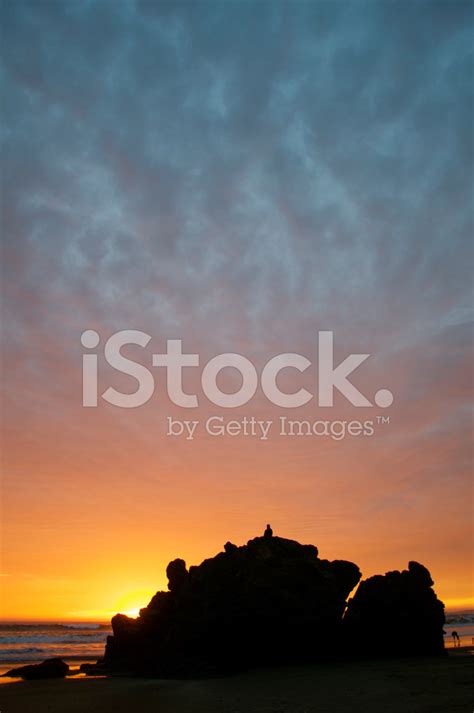 Sunset Silhouette On The Beach Stock Photo | Royalty-Free | FreeImages