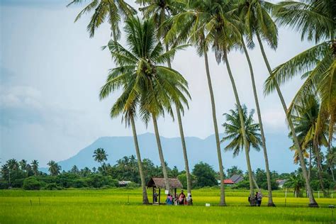 18 Attractions of Kampung Agong Penang [2023] - Archyde