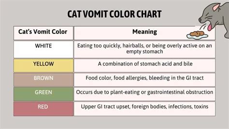 A Complete Guide To The Cat Vomit Color Chart – NBKomputer