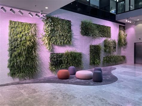 Indoor vertical garden - Sempergreen AU