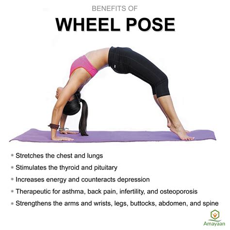 Wheel Pose is a more advanced back bending pose. It is known in Sanskrit as Urdhva Dhanurasana ...