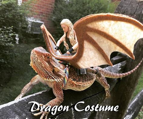 Easy Dragon Costume for Your Beardie!: Daenerys Stormborn of the House ...