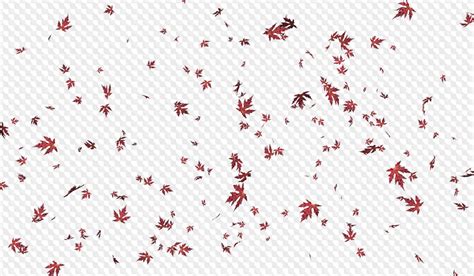 Updated Jul-31-2018: Falling leaves PNG Overlays, 75 images ...