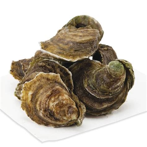 Oysters, Blue Pointe, Live, Wild | Publix Super Markets