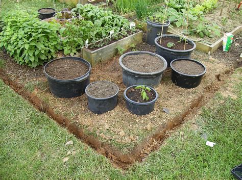 The Rusted Vegetable Garden