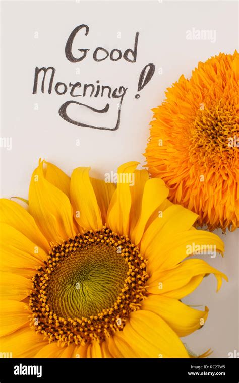 Good morning wish. Notepad and sunflowers Stock Photo - Alamy