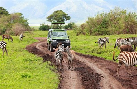 Tanzania’s Best National Parks and Safari Experiences