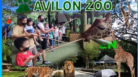 Avilon Zoo Adventure | Walk-in | How much is the entrance fee? I Kids are allowed | The Emata's ...