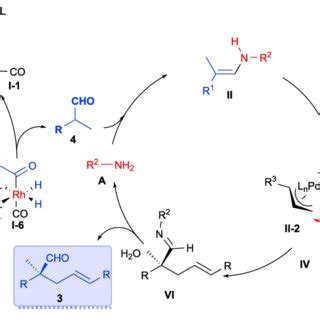 Proposed Mechanism for the Cascade Hydroformylation and Asymmetric... | Download Scientific Diagram