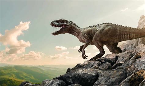 The Jurassic Period: Animals, Plants, and When It Happened - A-Z Animals