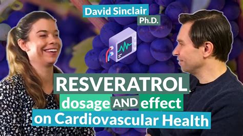 Resveratrol: dosage and effect on cardiovascular health | David Sinclair