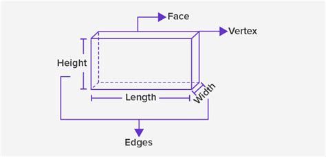 What is Dimensions? - Definition, Facts and Examples