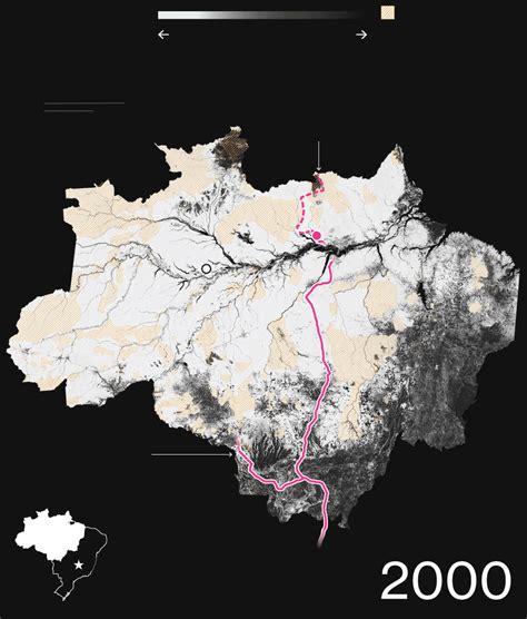 Amazon Rainforest Bolts Map