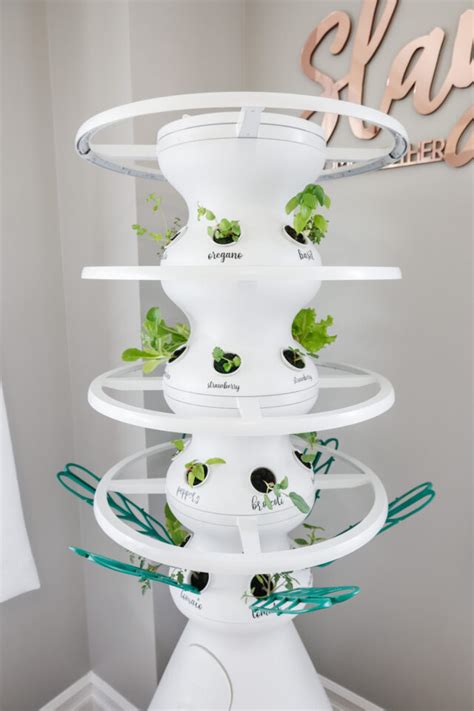 Lettuce Grow Farmstand Setup with Glow Rings