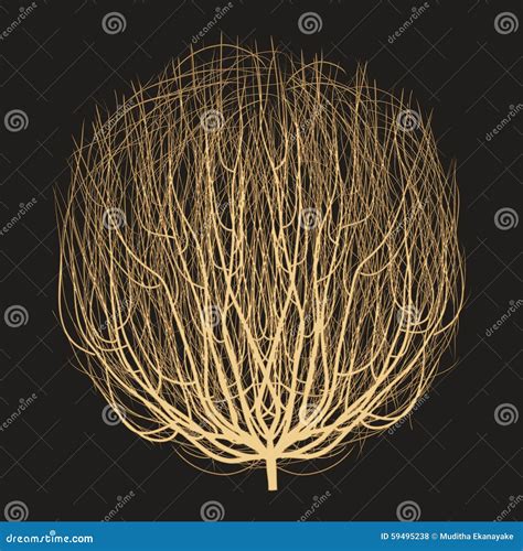 Tumbleweed drawing vector stock vector. Illustration of decorative - 59495238