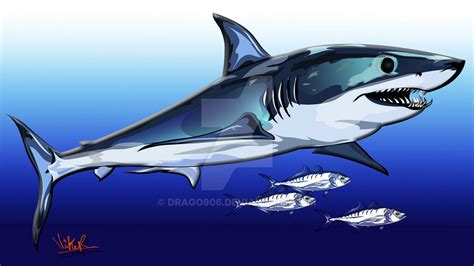 Mako Shark Drawing at GetDrawings | Free download