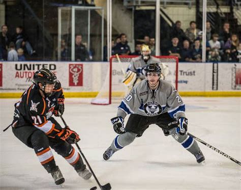 WMU hockey adds two defensemen to freshman class; Broncos expected to have 10 new players ...