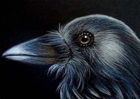 RAVEN CROW PROFILE 1 - by Cyra R. Cancel from Gallery