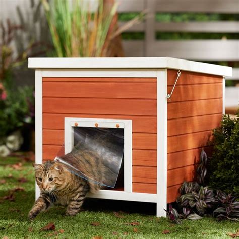 FRISCO Outdoor Wooden Cat House with Retractable Roof, Brown - Chewy.com