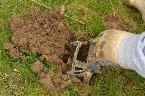 The Tri-state's Best Ground Mole Trapping Professionals.