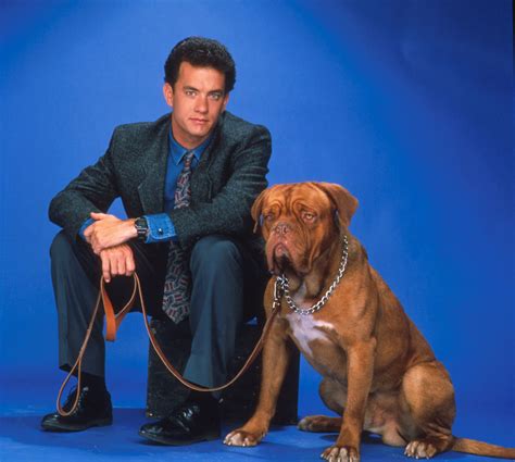 Turner & Hooch - Tom Hanks Photo (34677733) - Fanpop