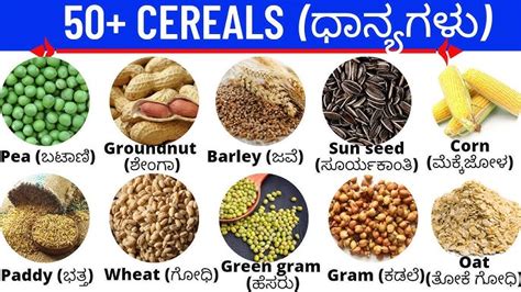 Grains And Pulses Names In English, Hindi, Kannada, Telugu