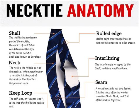 The Necktie Structure Anatomy - Industry news - News - Shengzhou Yili ...