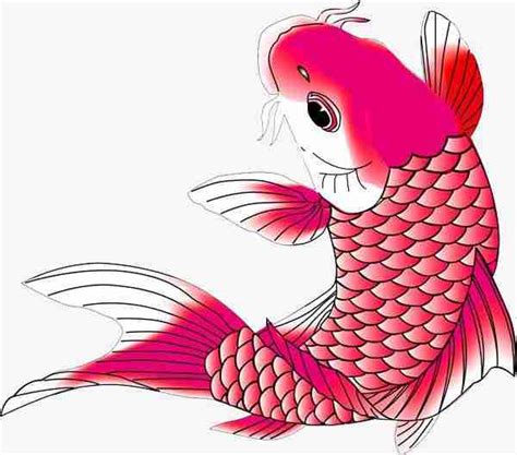 What Does Fish Symbolize In Chinese Culture(Do You Like Fish) | Son Of China