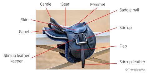 Parts of the English and Western Horse Saddle (Explained) – The Helpful Vet