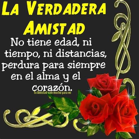 Imagenes Bonitas De Rosas Con Frases De Amistad Para Compartir