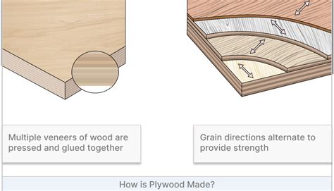 Types of Plywood | Plywood Guide | Plywood Buying Guide | Builder Depot (2023)