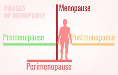 How Perimenopause Affects Your Body - Sunshine State Women's Care, LLC