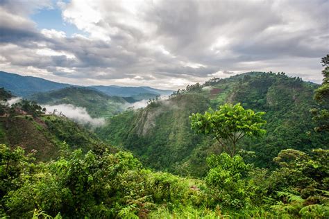 Uganda – Park Narodowy Bwindi Impenetrable - Planet Escape