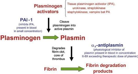 Ryplazim (plasminogen) Once Again Applied For Listing: The First Treatment For Congenital ...