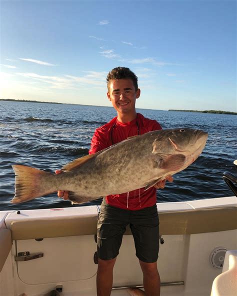 Off Shore Fishing - Cape Coral Fishing Charters | Cape Coral Fishing Charters | Fish, Fishing ...