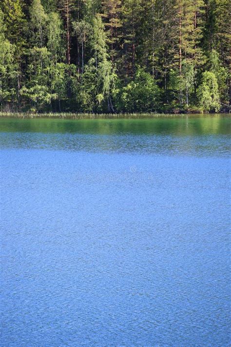 Lake Vattern in Sweden stock image. Image of pine, lake - 68392559